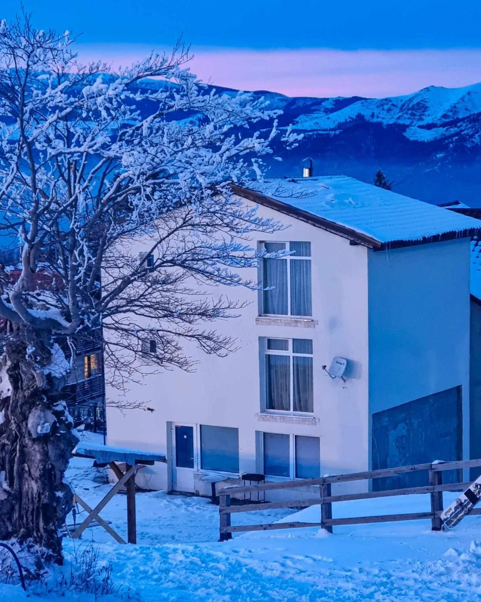 Pensiunea Sky Lupeni  Exterior foto